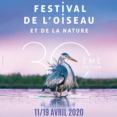 Festival de l'Oiseau - Myriam Dupouy