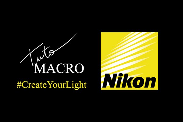 Blog Tuto Nikon Create Your Light - Myriam Dupouy