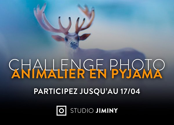 Blog Challenge Studio Jiminy - Myriam Dupouy - Animalier